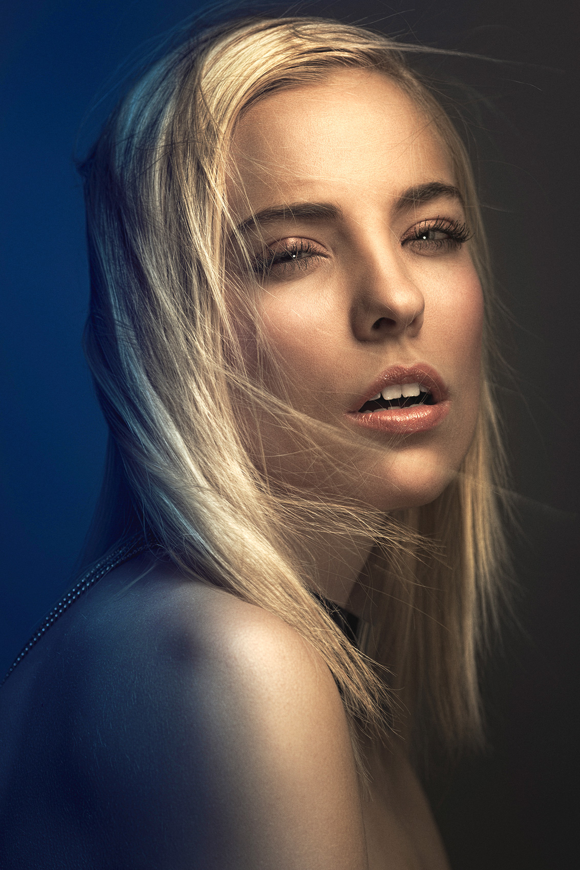 Lyse-Colors